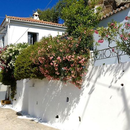 Sto Roloi Island Houses Poros Town Exteriör bild